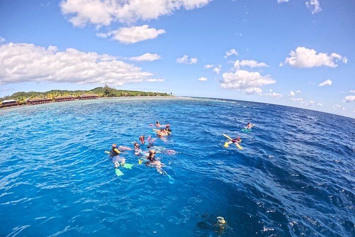 Roatan Private Snorkel Experience