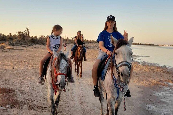 Traversée du Lagon de Djerba à Cheval une échappée inoubliable