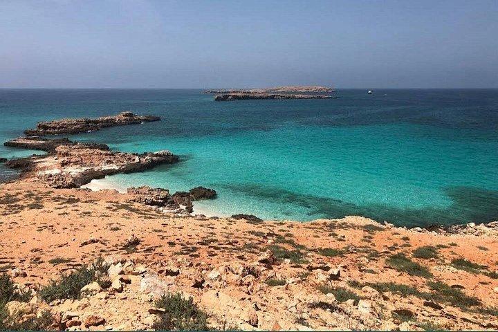 デイマニヤット諸島でシュノーケリングアドベンチャー半日シェア