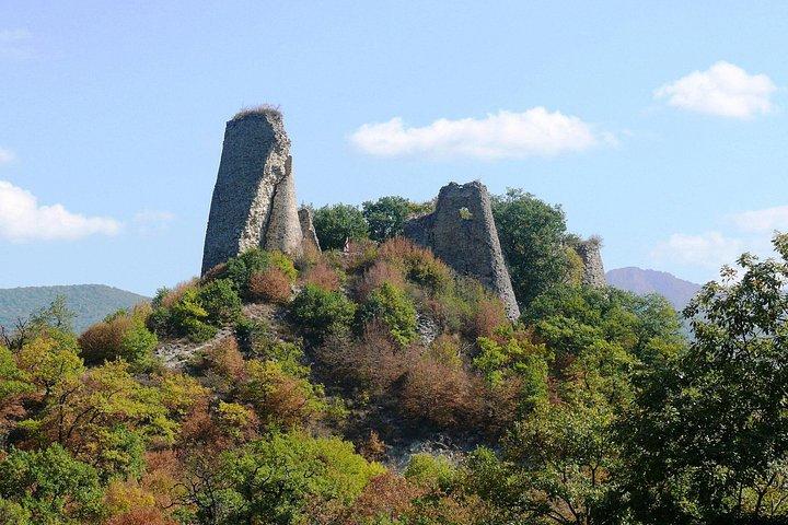 Shared Kakheti Wine and Culture Tour