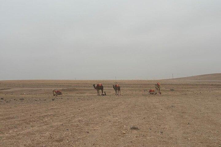 Quad bike and camel ride in the Agafay desert
