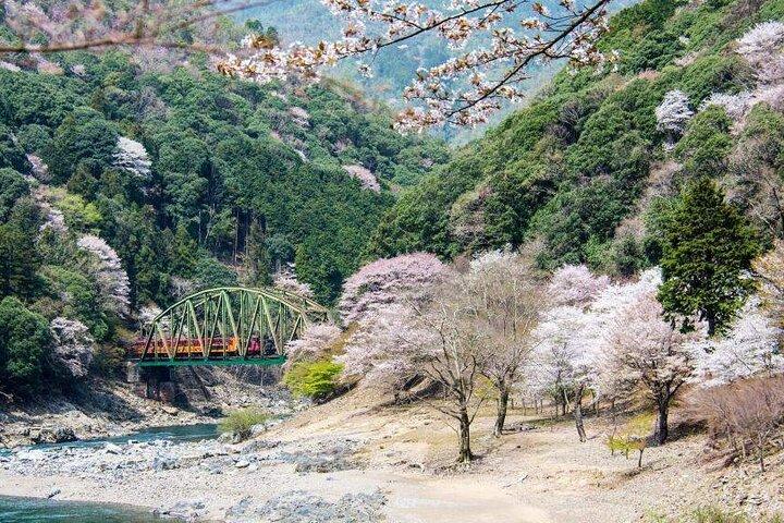 大阪発京都奈良嵐山竹林観光鉄道ツアー