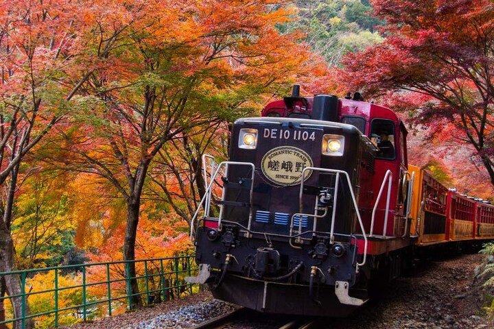 大阪発京都奈良嵐山竹林観光鉄道ツアー