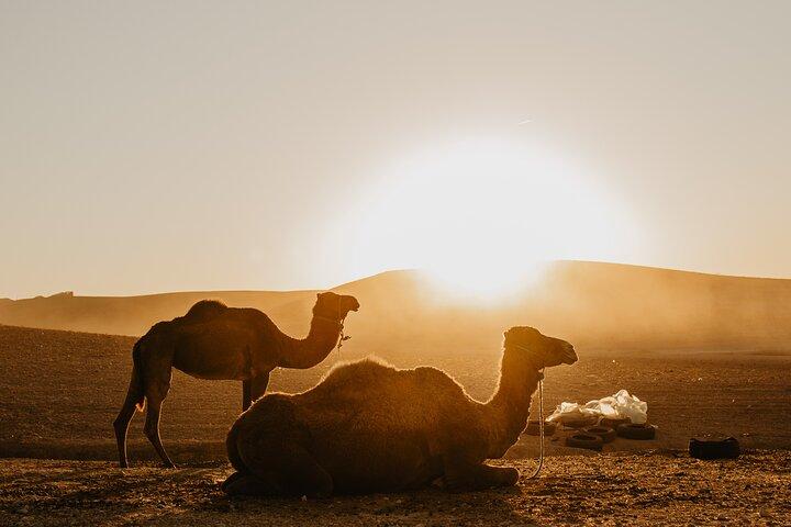 Agafay Desert Sunset, Quad, Camel och middag från Marrakech
