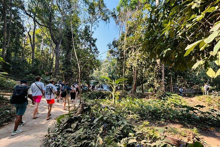 Day Trek a Cachoeira de Kuangsi e Santuário de Urso - Luang Prabang excursão de dia inteiro