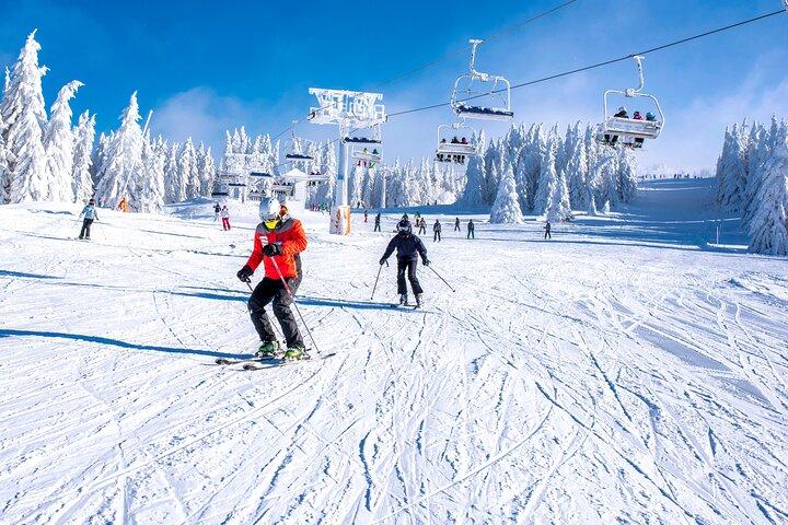 東京から自家用車で行く富士山スキーリゾートツアー