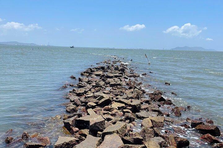 Can Gio Monkey Island and Mangrove Biosphere Full-Day Tour