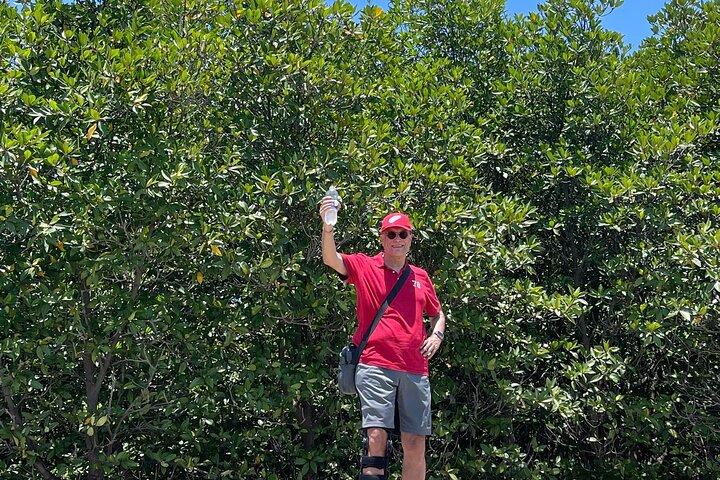 Can Gio Monkey Island and Mangrove Biosphere Full-Day Tour