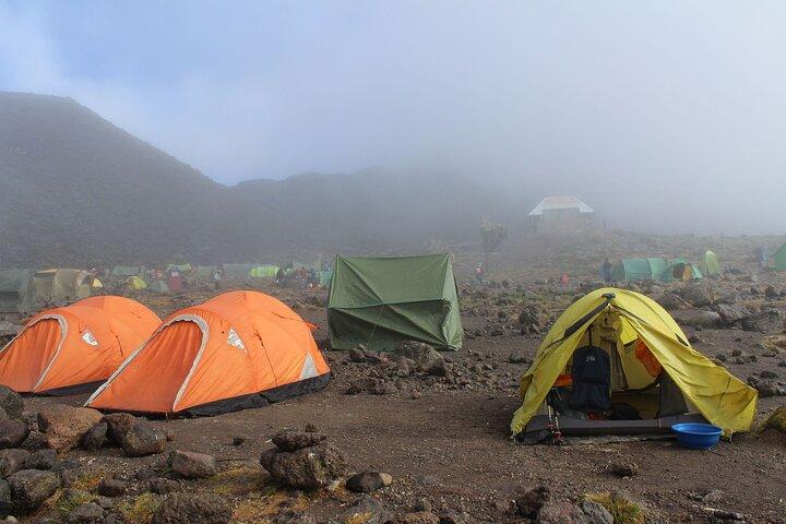 7-daagse Lemosho Route Meerdaagse Tour