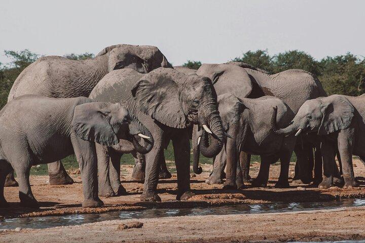 Nuit safari au parc national Amboseli au départ de Nairobi