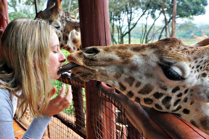 Tour di scalo dell'aeroporto di Nairobi Giraffe Center