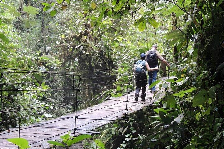 Excursión privada de un día al bosque nublado de Mindo