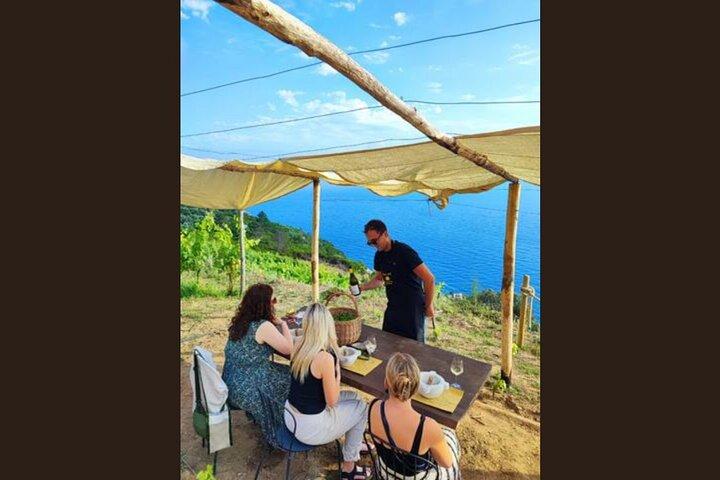 BarCa Winery Cinqueterre Trekking & Wine Tasting & Pesto Class