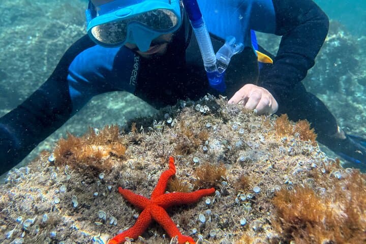 Barcelona Coast: Costa Brava Kayak and Snorkel