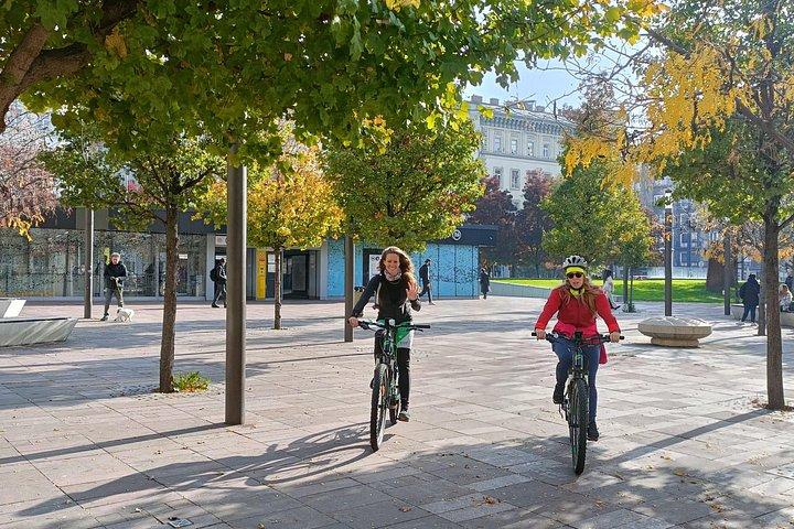 Budapest & Buda Castle E-bike Tour with a local guide