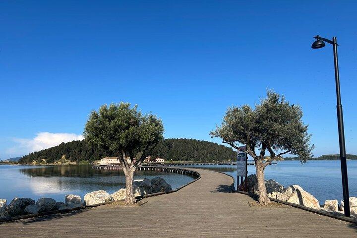Desde Vlora: experiencia de excursión de un día a Zvernec, Apollonia y Berat