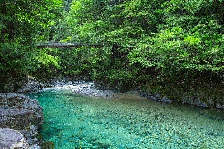 Nakasendo Trail Magome et Tsumago Randonnée d'une journée en petit groupe