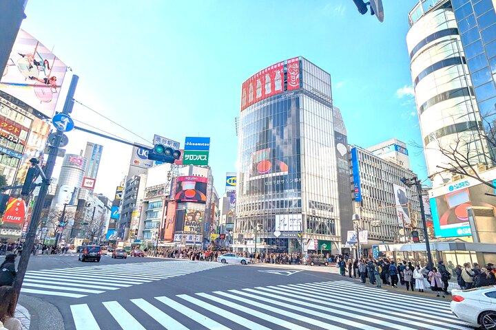 Shibuya Highlights Hachiko Scramble Meiji Jingu and Sky