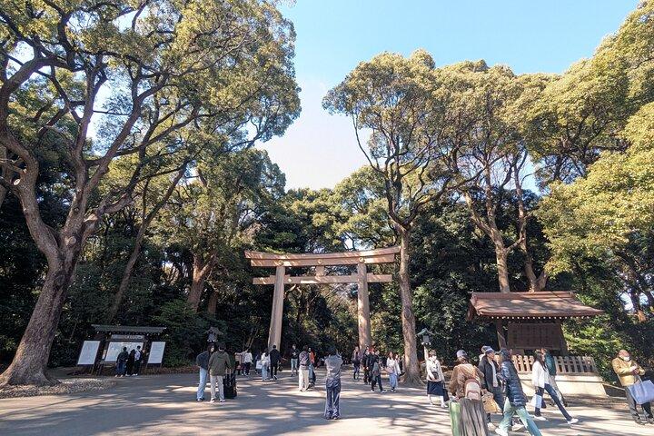 Shibuya Highlights Hachiko Scramble Meiji Jingu and Sky