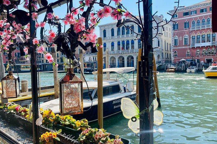 2.5 Horas de Street Food Tour de Veneza