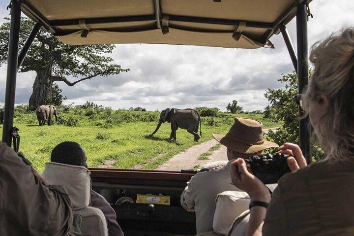 8-dagars bästa av Kenya Wildlife Private Safari