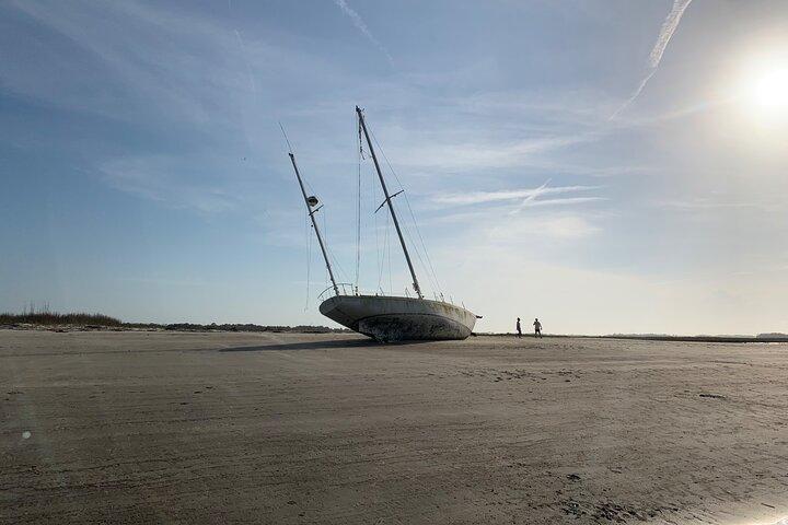 Folly Dolphin Adventure (Privat eller offentlig) til 12 gæster
