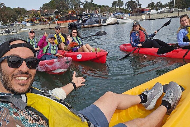 Dana Point Kayak ed escursione costiera con avvistamento di leoni marini