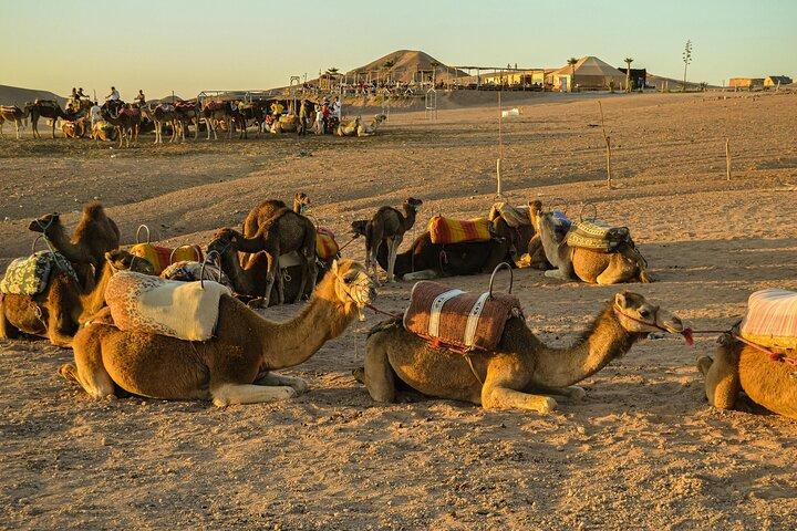 Agafay Desert Experience:Quad Biking,Camel Ride and Dinner Show