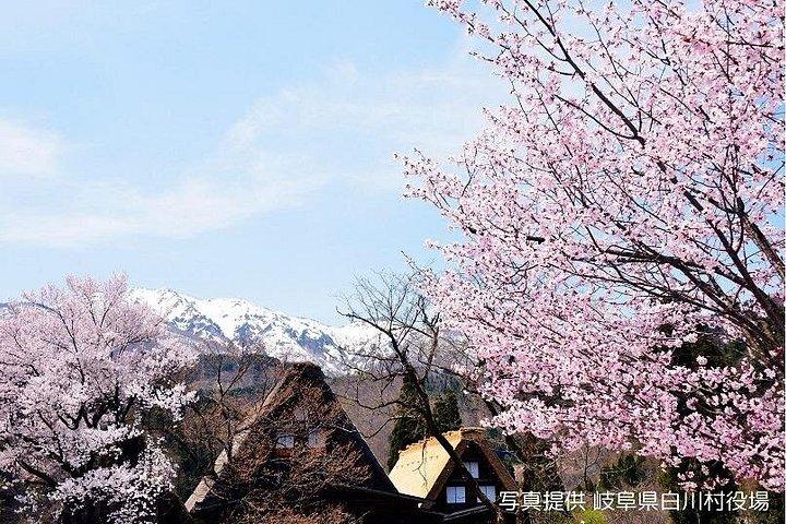 名古屋発白川郷・高山バスツアー