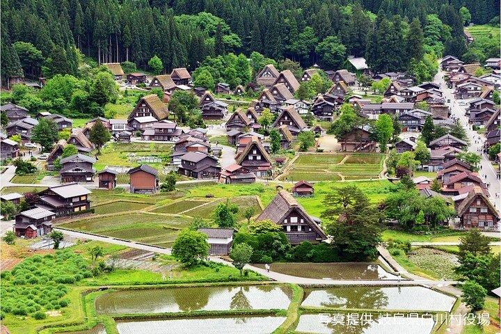 【Visite privée】 Shirakawa-go & Takayama 1 jour au départ de Nagoya