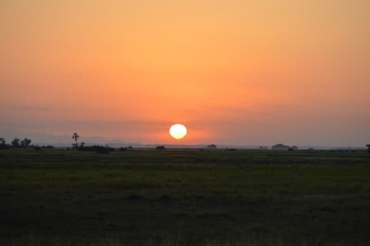 3- Day Exploring Giants and Golden Sunsets in Amboseli