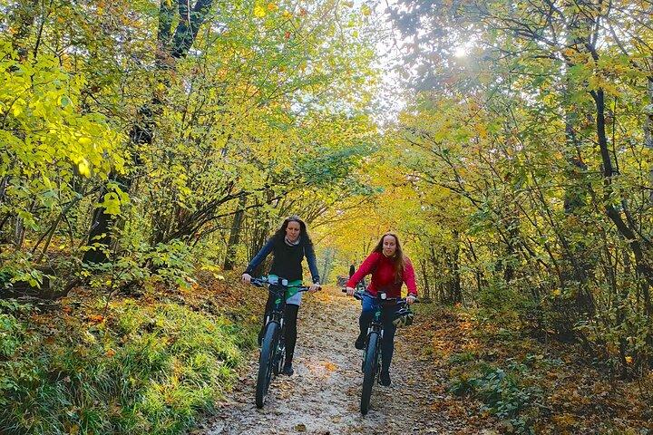 Budapest E-Mountain Biking in Buda Hills with great scenery