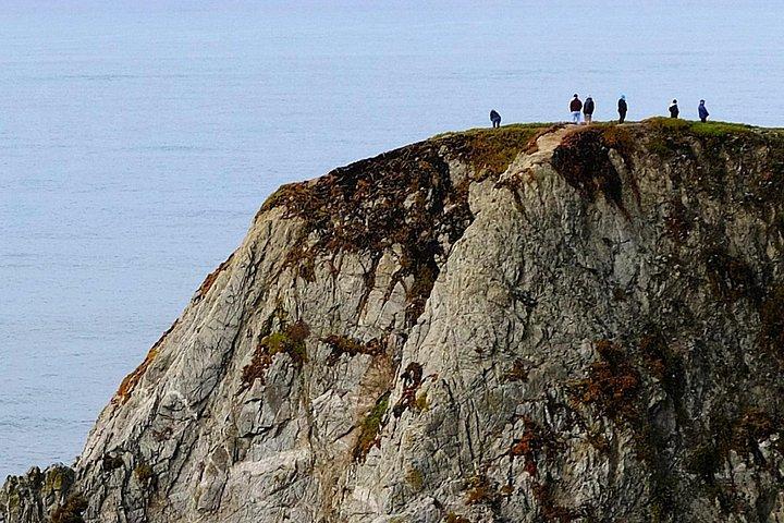A Self-Guided Audio Tour Around Bodega Head