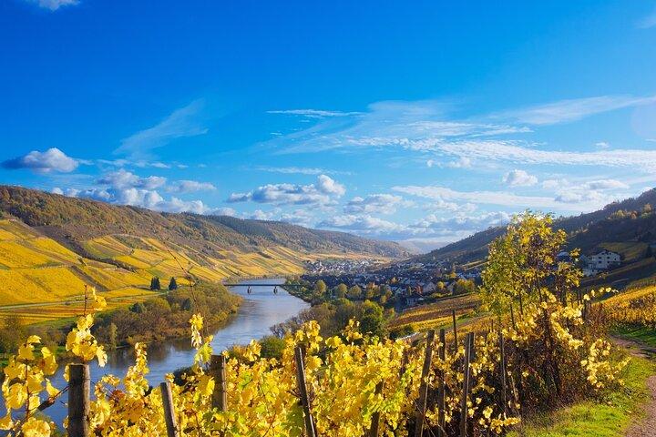 Mosel degustação de vinhos orgânicos e excursão na adega em Reil