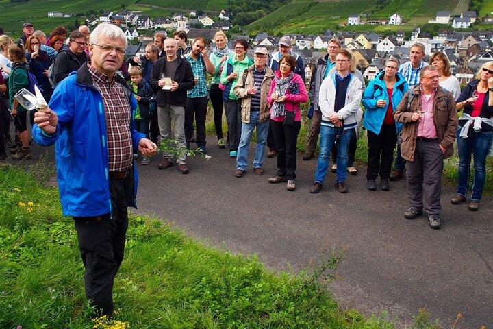Mosel degustação de vinhos orgânicos e excursão na adega em Reil