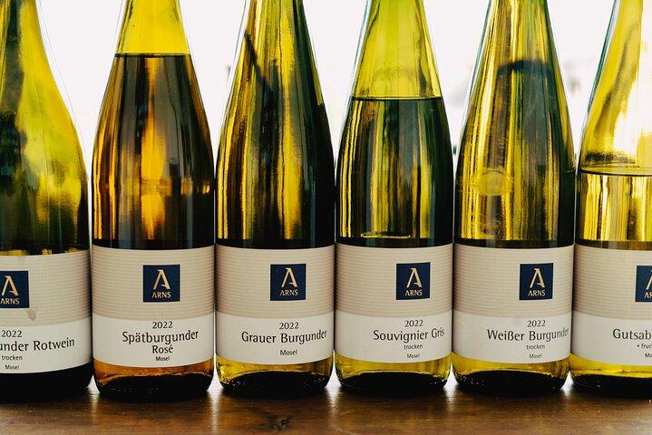 Mosel degustação de vinhos orgânicos e excursão na adega em Reil