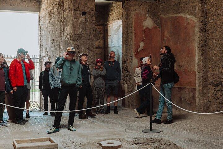 Pompeii and Mount Vesuvius Small Group Tour from Naples