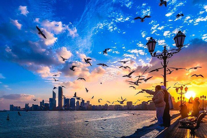 Tour della città di Abu Dhabi di un'intera giornata con guida parlante inglese