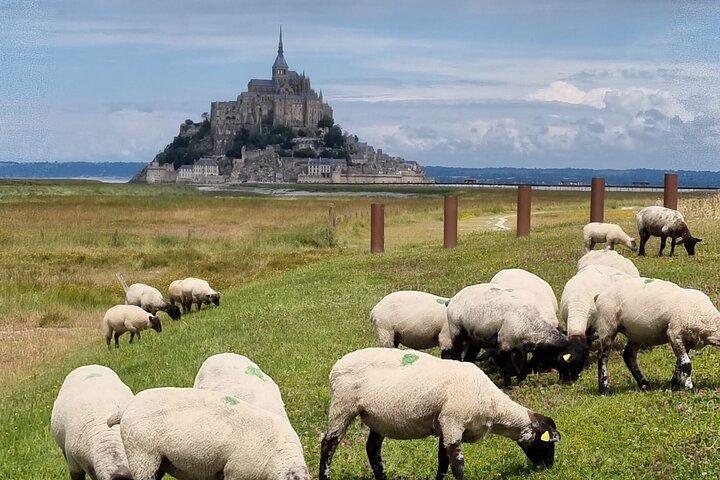 2-timers guidet tur til Mont Saint Michel, inklusive billet til klosteret