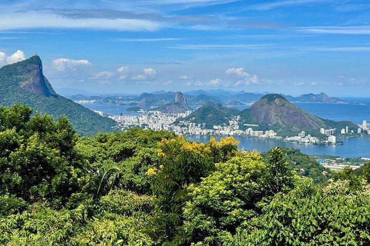 Nadar bajo las cascadas del Tijuca — Caminata, Cuevas, Vida Silvestre y Vistas al Río