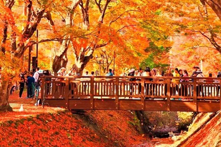 Mount Fuji Tour: Chureito-pagoden Oshino Hakkai och Kawaguchikosjön