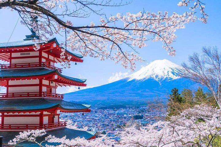 Mount Fuji Tour: Chureito-pagoden Oshino Hakkai och Kawaguchikosjön