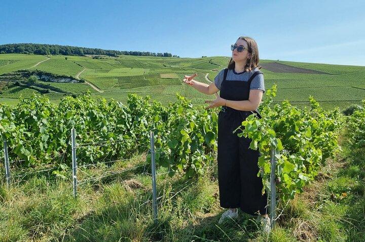 Après-midi vélo électrique, visite et dégustations de champagne
