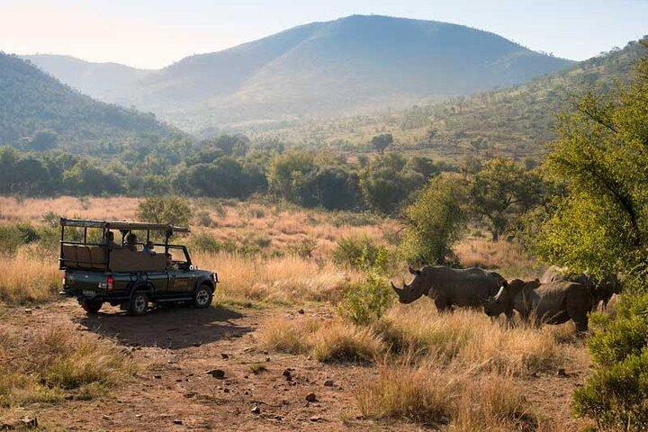 Safari di 2 giorni a Pilanesberg al Bakubung Lodge