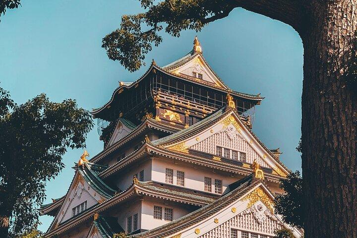 Osaka Private Highlights Tour mit Fortgeschrittener und Luxusfahrzeug