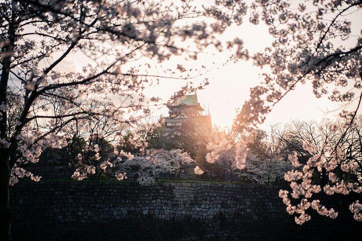 Osaka Private Highlights Tour mit Fortgeschrittener und Luxusfahrzeug