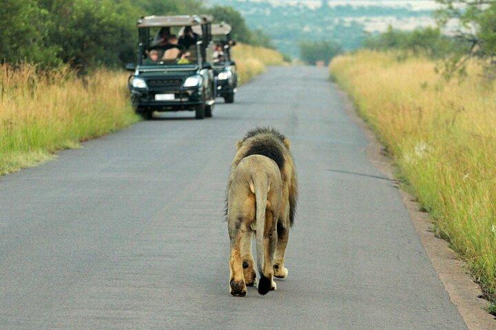 Safari di 3 giorni a Pilanesberg presso Kwa Maritane Lodge