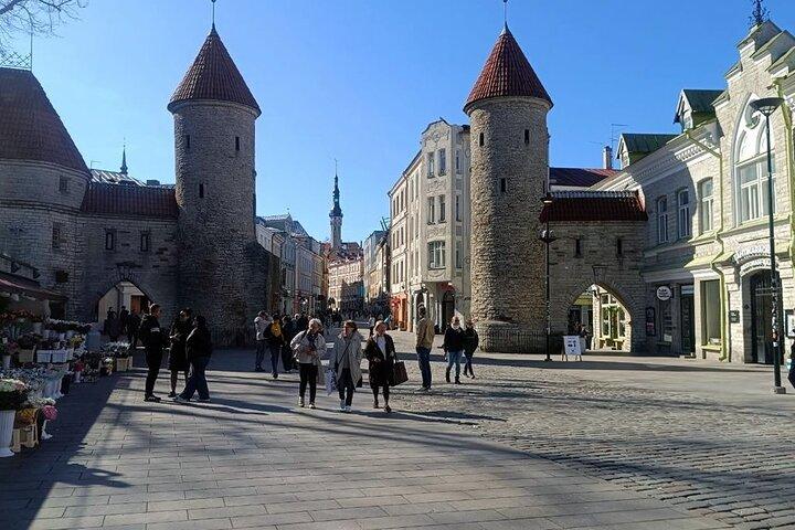 Hoogtepunten van Tallinn & het middeleeuwse verleden