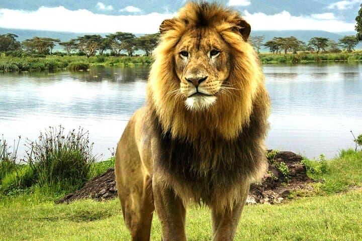 2 Day Tour Lake Nakuru Hell's Gate and Lake Naivasha from Nairobi