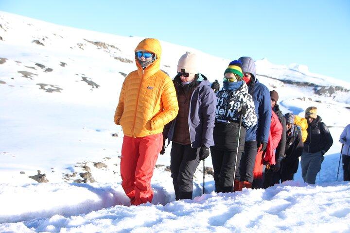 6 Días Ruta del Machame Kilimanjaro Tour de Senderismo y Escalada en Grupo